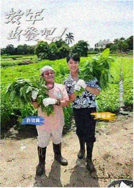 像素游戏机屏幕风格的综艺节目档案封面示意